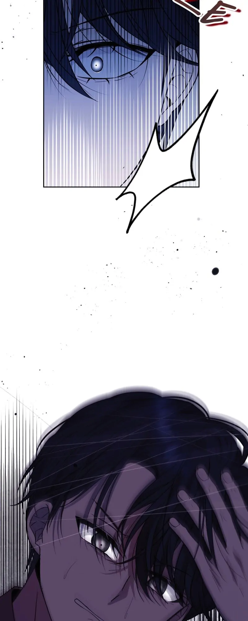 46529499 800 2000 62974